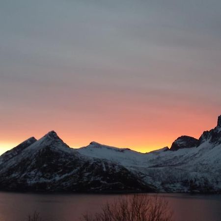Senja, Husoy I Senja. Leilighet Med Utsikt Over Fjord Og Fjell Tofta Bagian luar foto