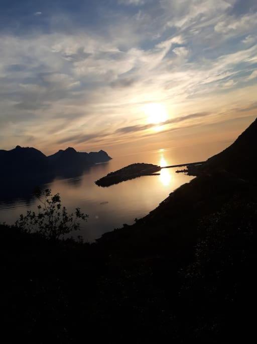 Senja, Husoy I Senja. Leilighet Med Utsikt Over Fjord Og Fjell Tofta Bagian luar foto