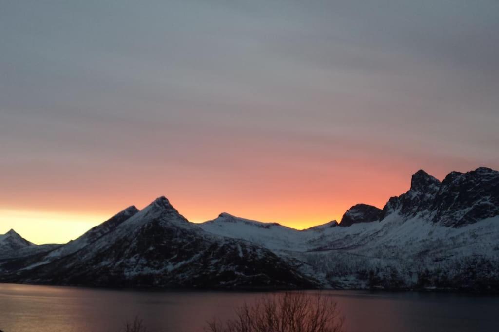 Senja, Husoy I Senja. Leilighet Med Utsikt Over Fjord Og Fjell Tofta Bagian luar foto