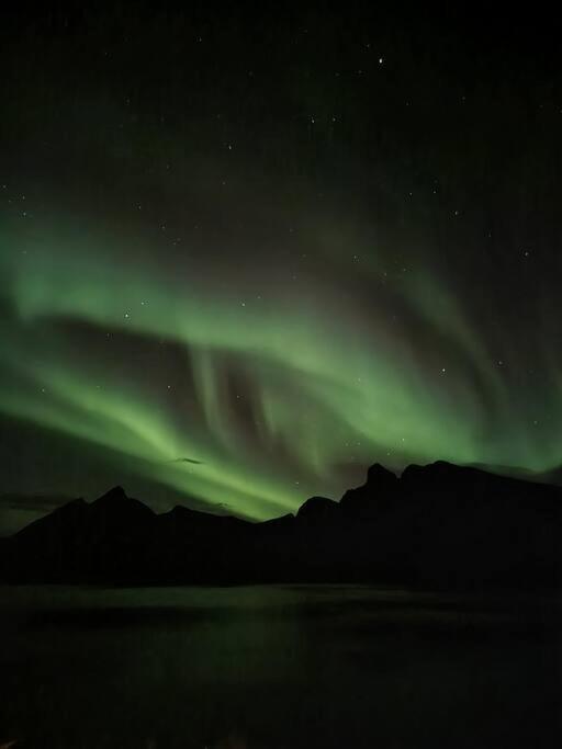 Senja, Husoy I Senja. Leilighet Med Utsikt Over Fjord Og Fjell Tofta Bagian luar foto